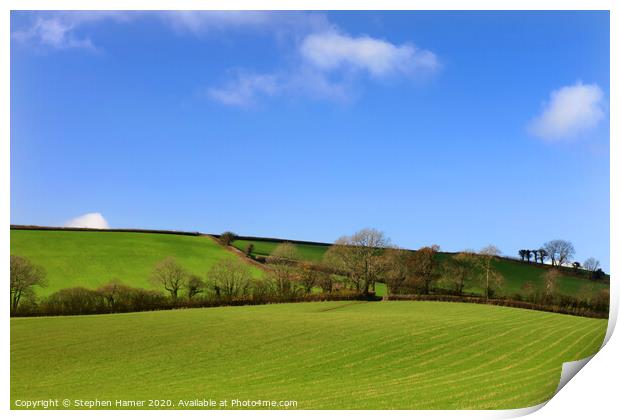 Serene Devonshire Countryside Print by Stephen Hamer