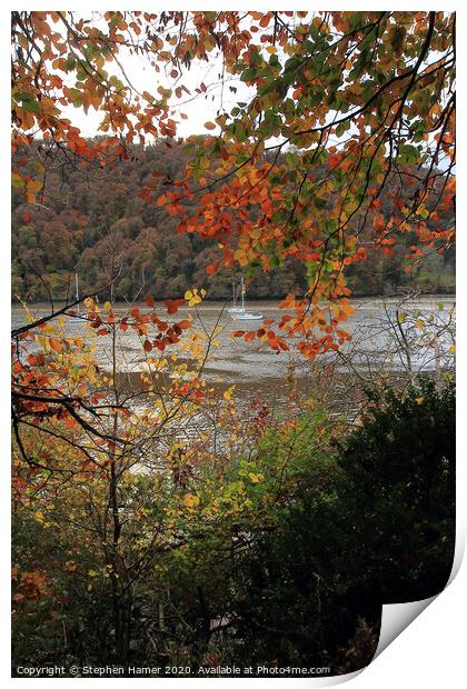 Autumn Leaves on the Dart Print by Stephen Hamer