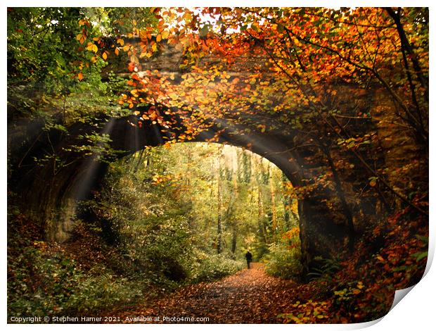 Autumn Woodland Walk Print by Stephen Hamer
