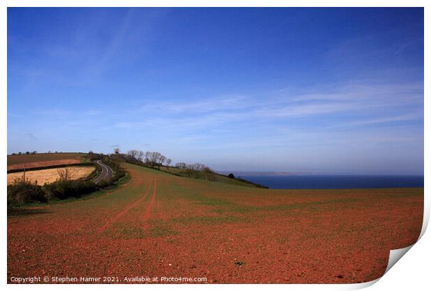 Red Soil of South Devon Print by Stephen Hamer