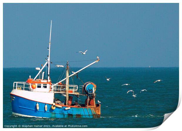 Gull's following Trawler Print by Stephen Hamer