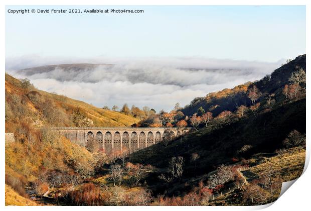 Smardale Gill Viaduct in Autumn, Cumbria, UK Print by David Forster