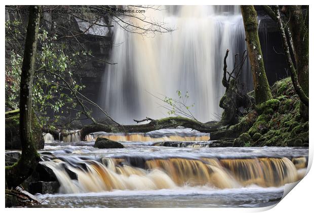 Summerhill Force, Bowlees, Upper Teesdale, County Durham, UK Print by David Forster