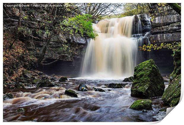Summerhill Force and Gibson's Cave Teesdale Print by David Forster
