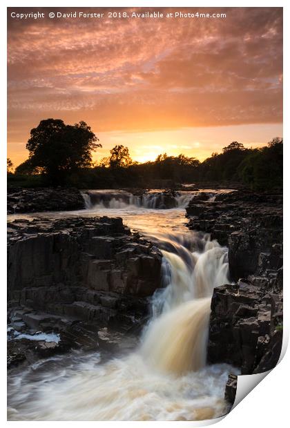 Low Force Sunset Print by David Forster