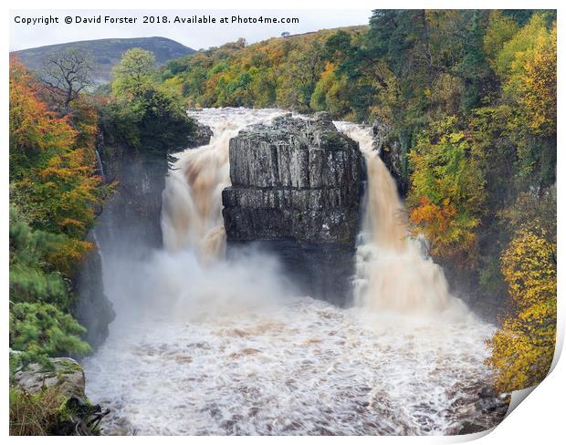 High Force Autumn Print by David Forster