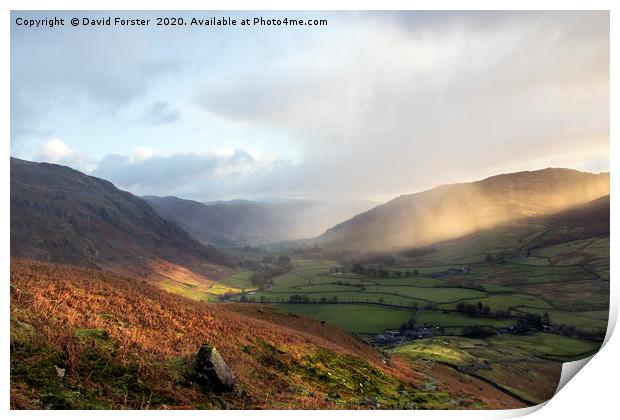  Great Langdale Light, Lake District Print by David Forster