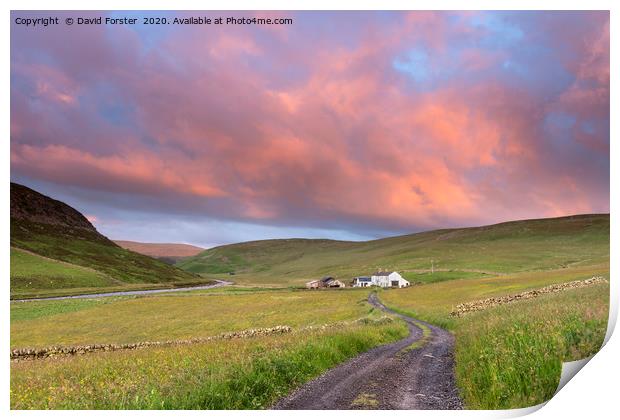 North Pennine Dawn, Teesdale, County Durham Print by David Forster