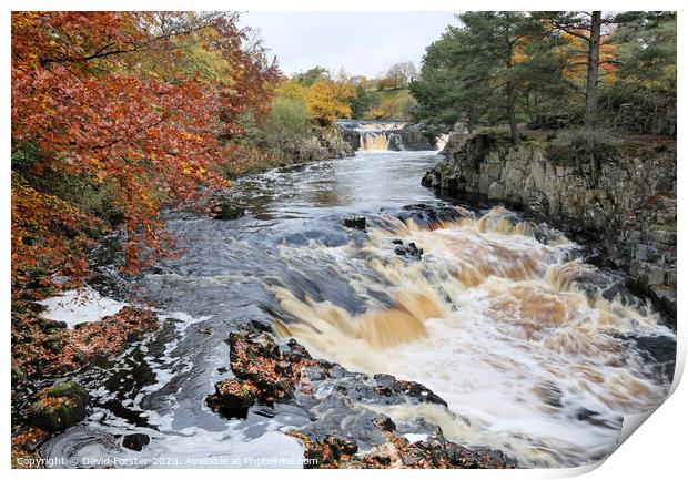 Low Force from the Pennine Way, Bowlees, Teesdale, County Durham, UK Print by David Forster