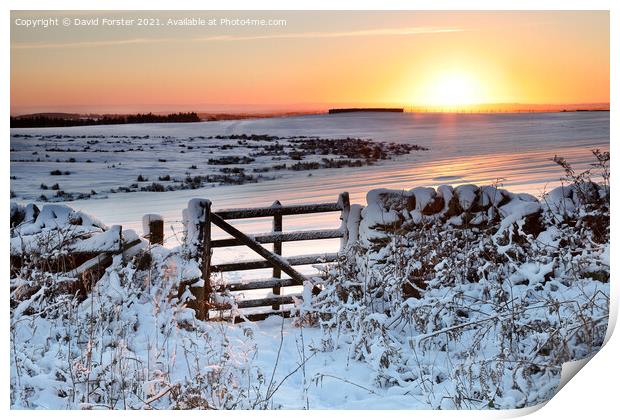 Gateway to a Winter Sunrise in the North Pennines, Teesdale. Print by David Forster