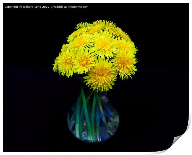 Yellow Dandelion flowers Print by Richard Long