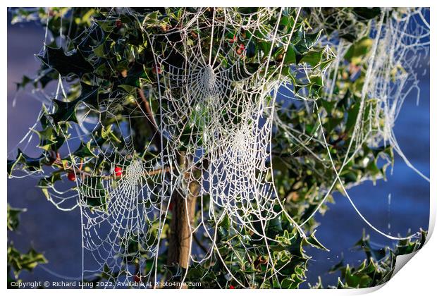 Frost covered Spider webs Print by Richard Long