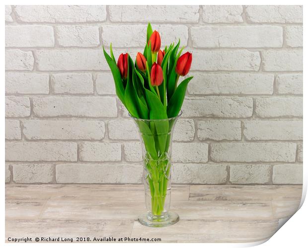 Red Tulips in a glass vase Print by Richard Long