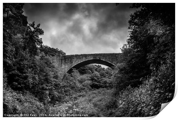 Causey Arch Print by Phil Reay