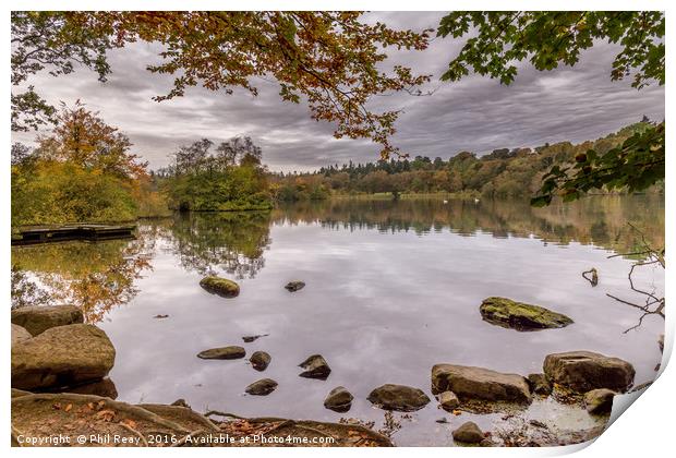 Autumn at Bolam lake Print by Phil Reay