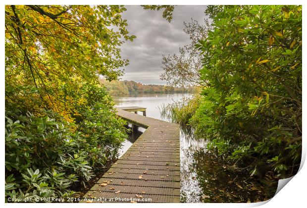 Autumn at Bolam lake jetty Print by Phil Reay