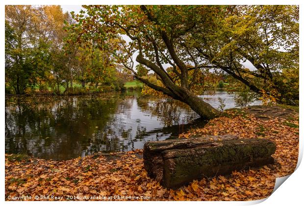 Autumn at Pittville Print by Phil Reay