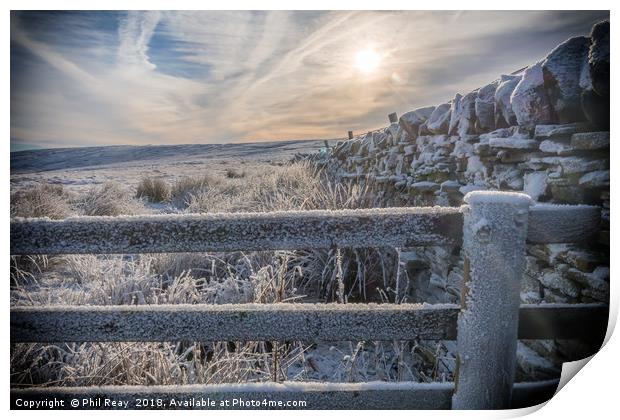 A cold & frosty morning Print by Phil Reay
