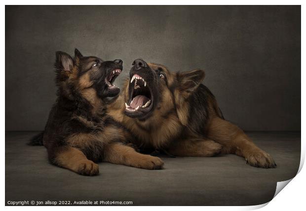 Teach me how to roar! Print by John Allsop