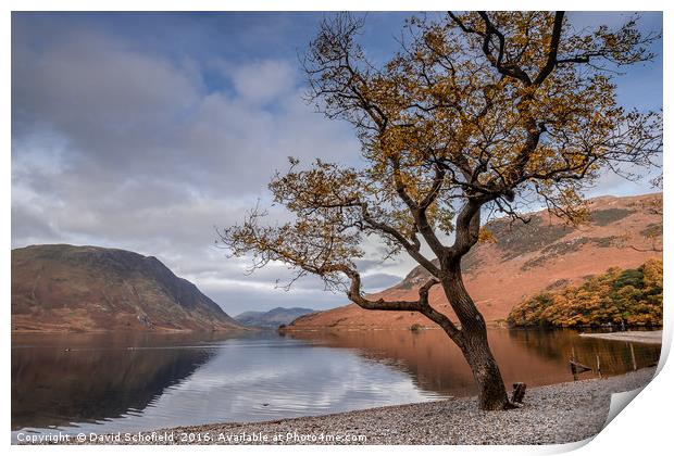Shores of Crummock Water, The Lake District Print by David Schofield