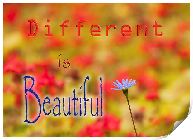 Different is Beautiful  Print by Colin Evans
