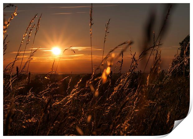  Sunset Over Epsom Print by Colin Evans