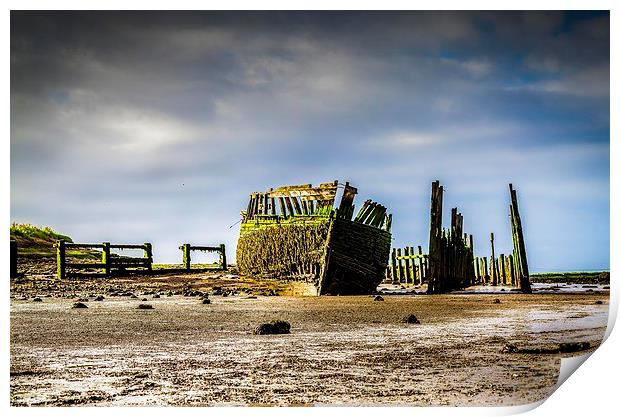  Shipwreck and dock Print by Gary Schulze