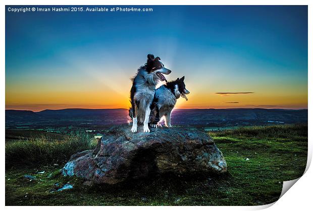Magical sunset, me & you. Lovely dogs at sunset in Print by Imran Hashmi