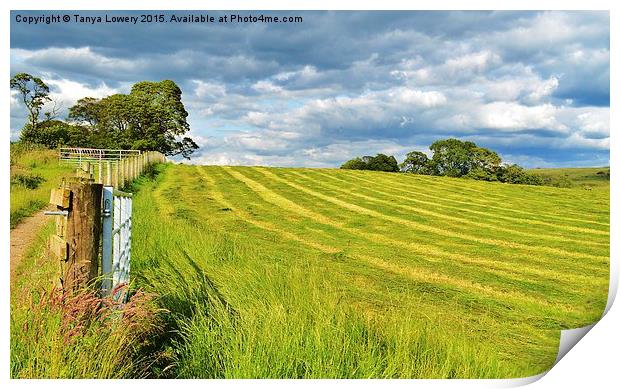  Summer field with cut grass Print by Tanya Lowery