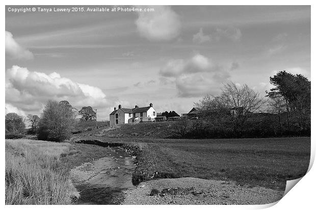   The white farmhouse Print by Tanya Lowery