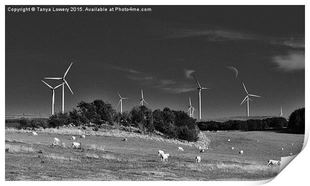 wind turbines and sheep Print by Tanya Lowery
