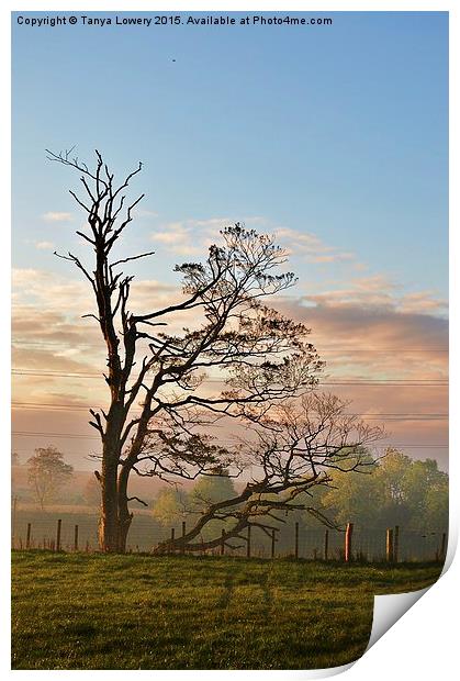  Tree on a misty morning Print by Tanya Lowery