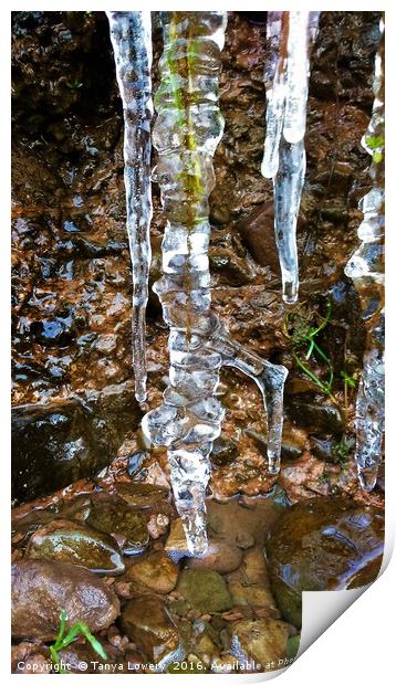 Icicle Print by Tanya Lowery