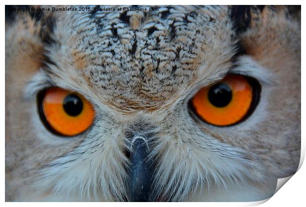  Eurasian Eagle Owl Print by Jamie Dumbleton