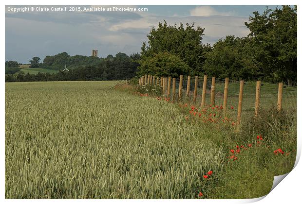  Wheat and Poppies, Landscape  Print by Claire Castelli
