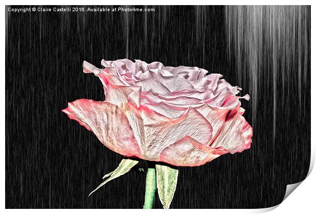  Single Rose Print by Claire Castelli