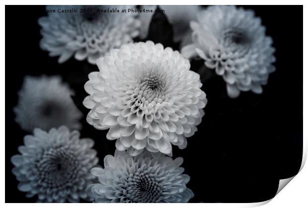 chrysanthemum Print by Claire Castelli