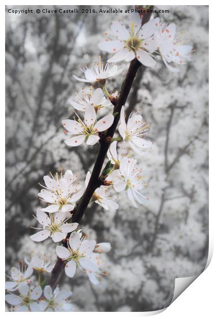 Blossom Print by Claire Castelli