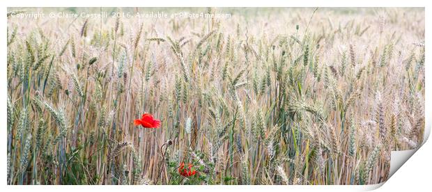 Poppy and Wheat Print by Claire Castelli
