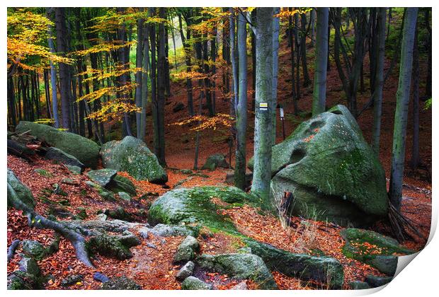 Mountain Forest Autumn Scenery Print by Artur Bogacki