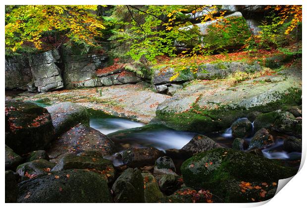 Creek in Autumn Mountain Forest Print by Artur Bogacki