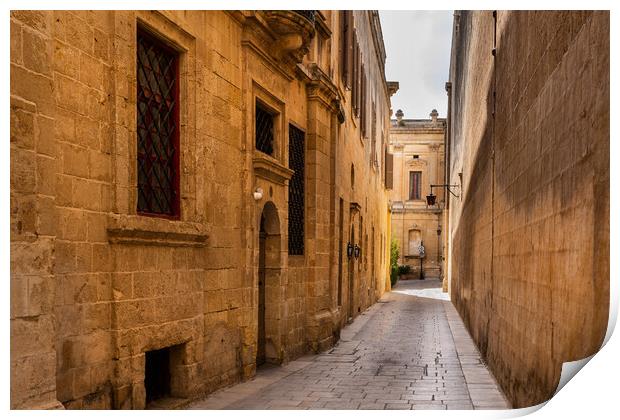 City of Mdina in Malta Print by Artur Bogacki