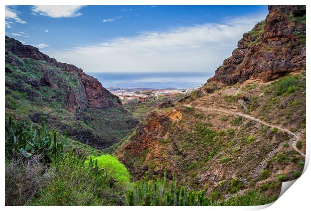 Barranco del Infierno Hell Gorge Landscape in Tenerife Print by Artur Bogacki