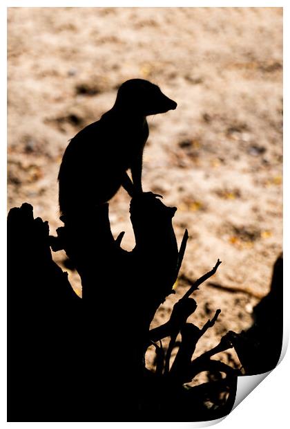 Meerkat Sentry Silhouette Print by Artur Bogacki