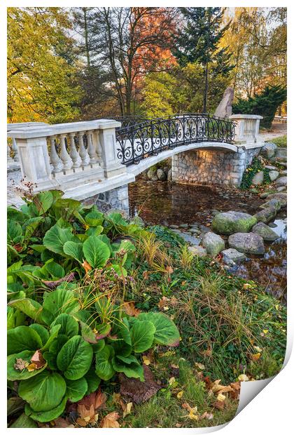 Canal Bridge In Ujazdowski Park In Warsaw Print by Artur Bogacki