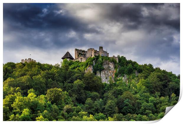 Celje Castle In Slovenia Print by Artur Bogacki