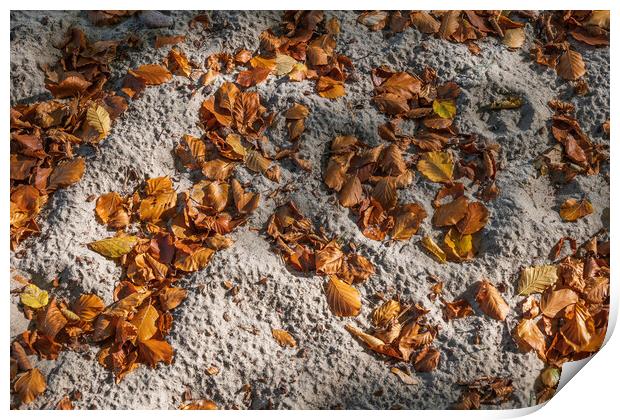 Fallen Autumn Leaves In Sand Print by Artur Bogacki