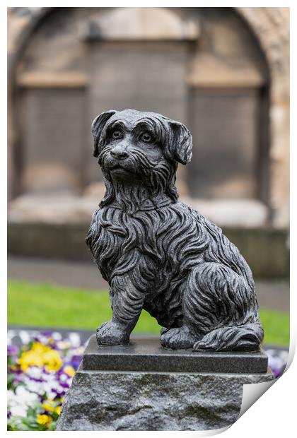 Greyfriars Bobby Statue In Edinburgh Print by Artur Bogacki