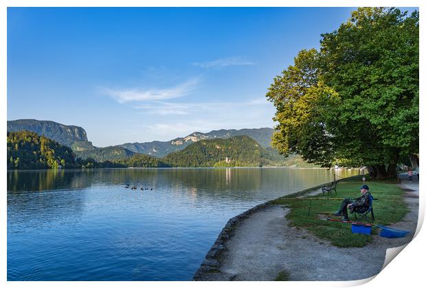 Angle at Lake Bled in Slovenia Print by Artur Bogacki