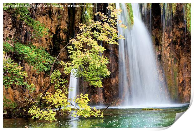 Autumn Tree by the Waterfall Print by Artur Bogacki